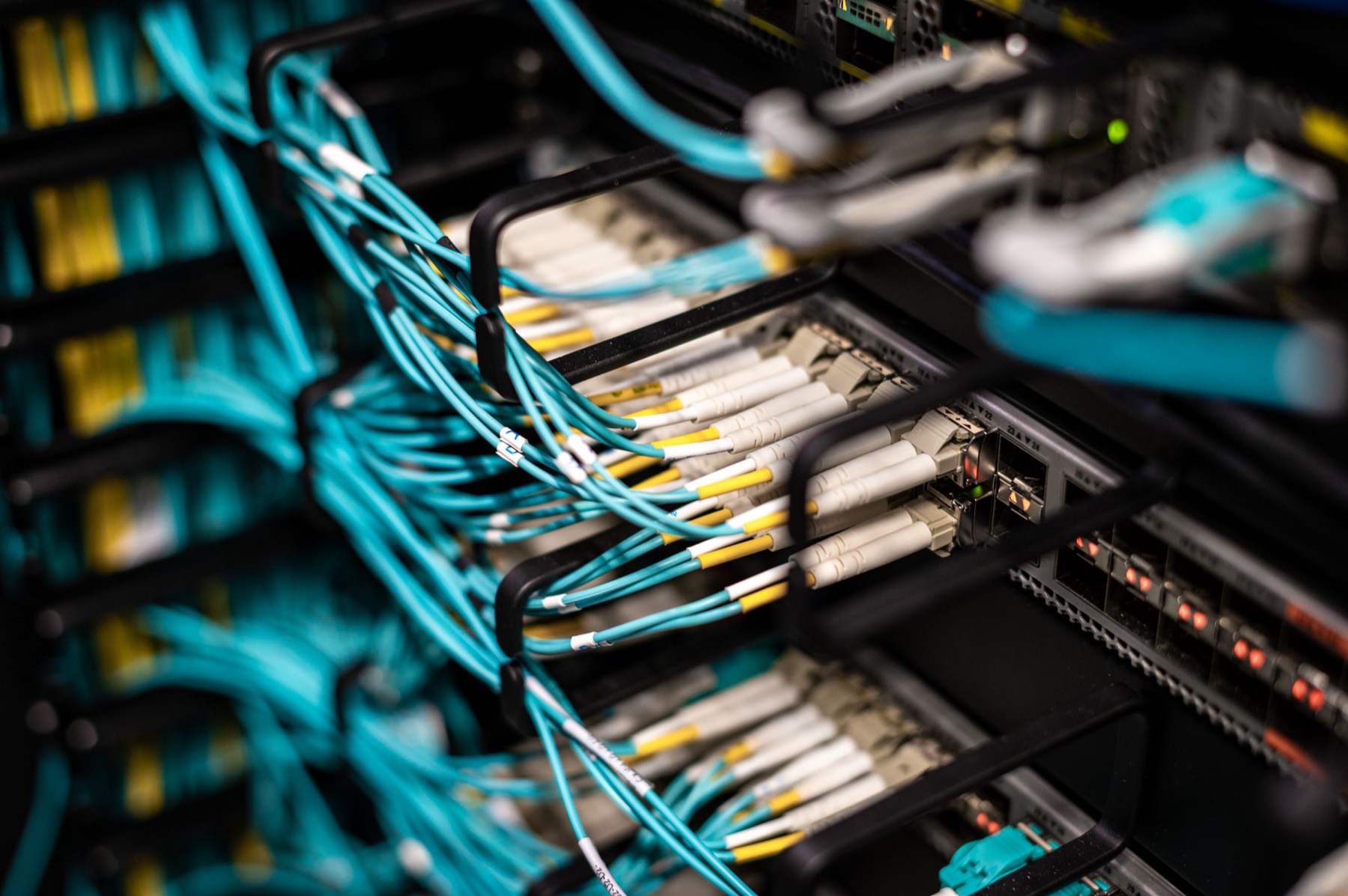 Teal fibre optic cables plugged into a data centre patch panel